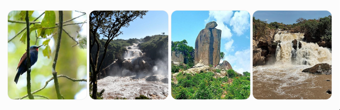 Western Kenya birdlife, waterfalls and the Crying Stone of Ilesi